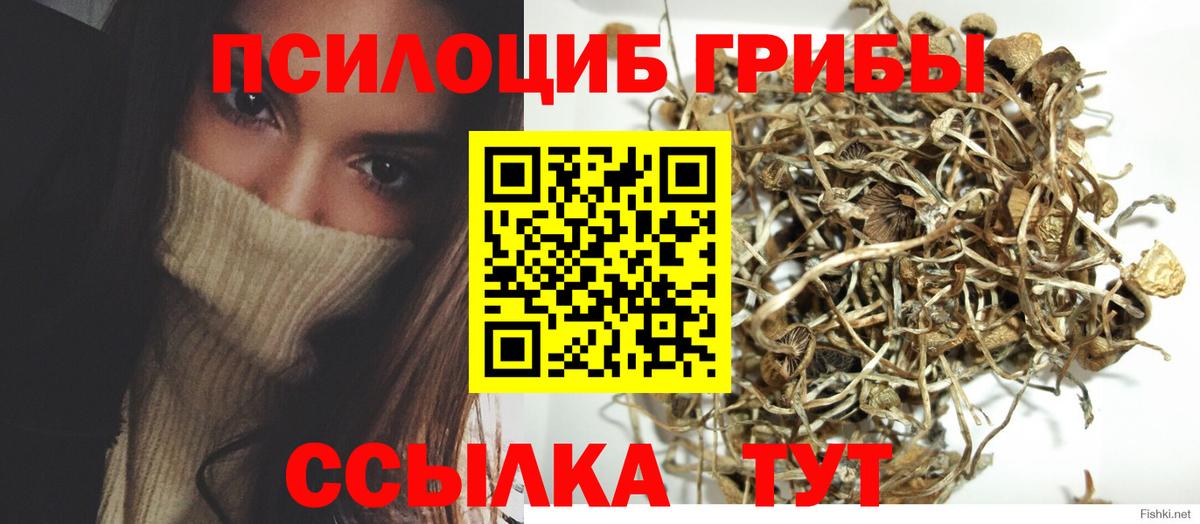 Псилоцибиновые грибы MAGIC MUSHROOMS  Вход с VPN  Псилоцибиновые грибы мухоморы  Киров 